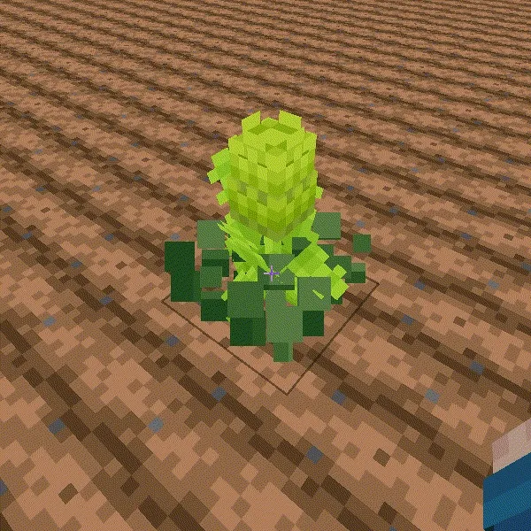 AddFruit 5